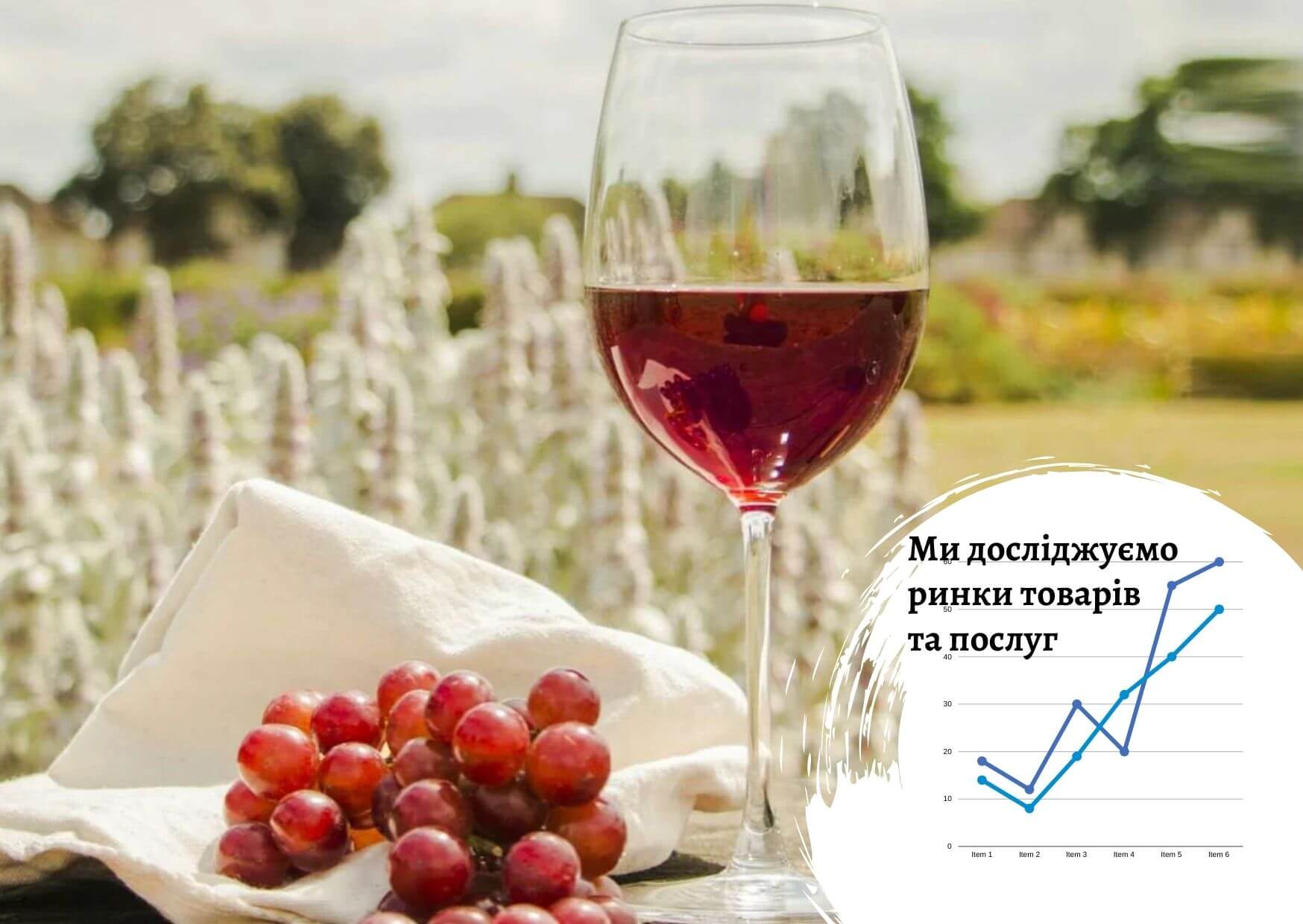 Wine market (imported) in Ukraine: competitive analysis 